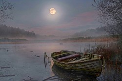 Early morning, Delamere Forest
