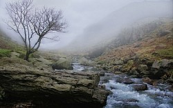 Wild river, north Wales