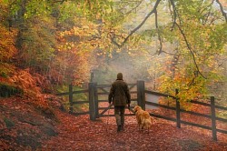 Autumn in the Goyt Valley