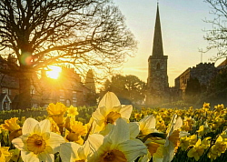 Early Spring morning, Astbury, Cheshire