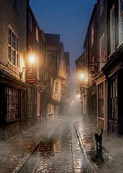 Nightime at the York Shambles